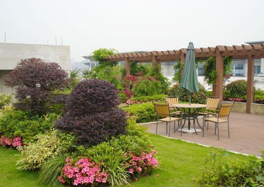 人杰苗圃-别墅绿化美化